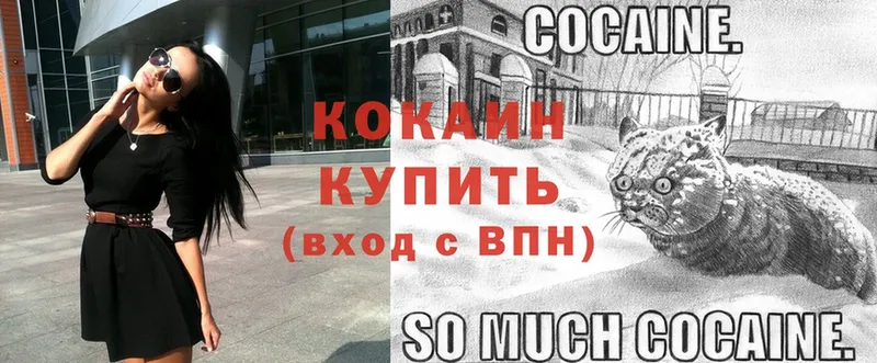 цены   Пошехонье  Cocaine 97% 